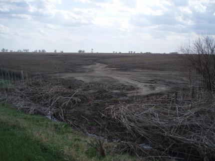 Kemampuan Biochar Saat Hujan Ekstrem: Menahan Air, Menjaga Hara, Menyelamatkan Tanah